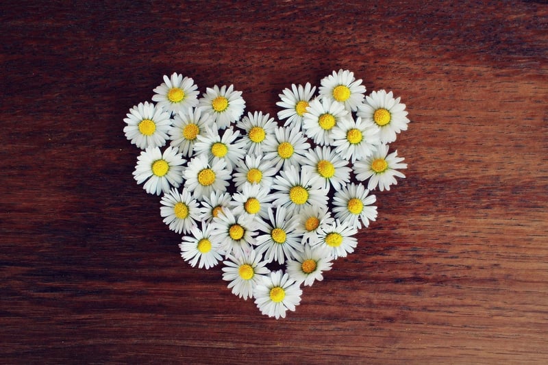 Heart in Hands